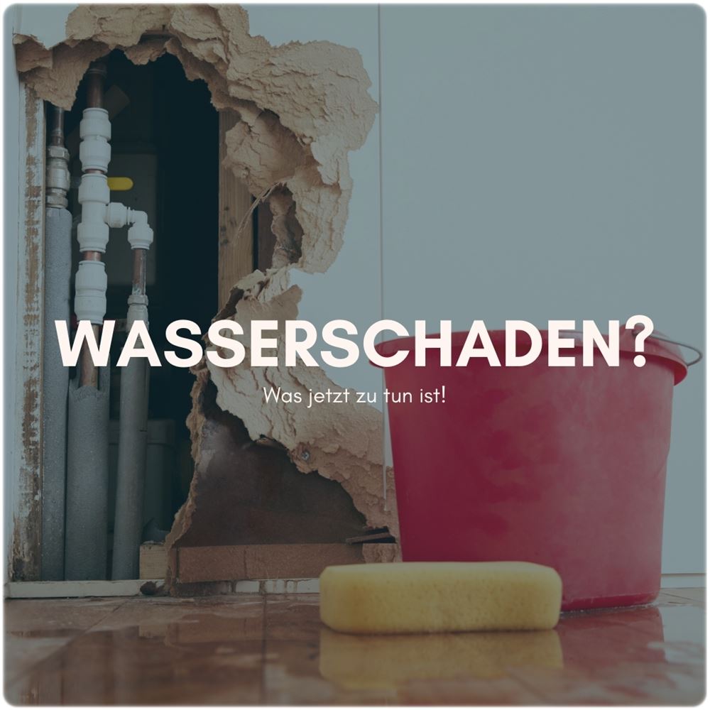 lange und lange immobilien blog kw 43 2020 0231