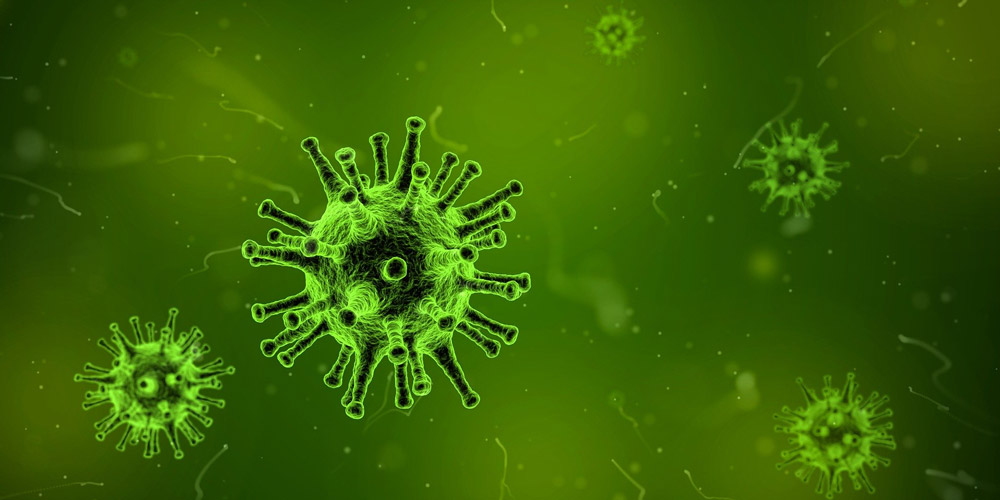 Coronavirus – digitale Besichtigungen statt